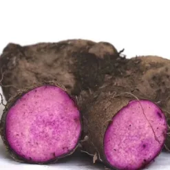 Organic Sweet Potato 300gr