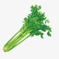 Organic Celery 300gr
