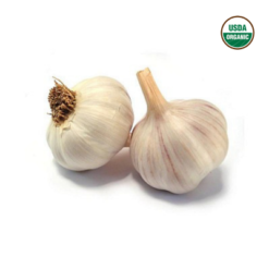 Nghe An Organic Purple Garlic 000gr