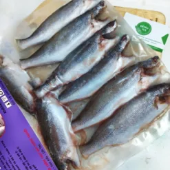 Croaker Fish – Croaker Fish