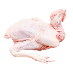 Red soil garden chicken