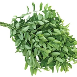 Organic Malabar spinach 300g